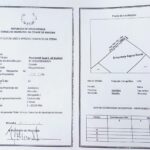 Primeiro Secretário da Frelimo em Mocuba acusado de usurpar terreno alheio