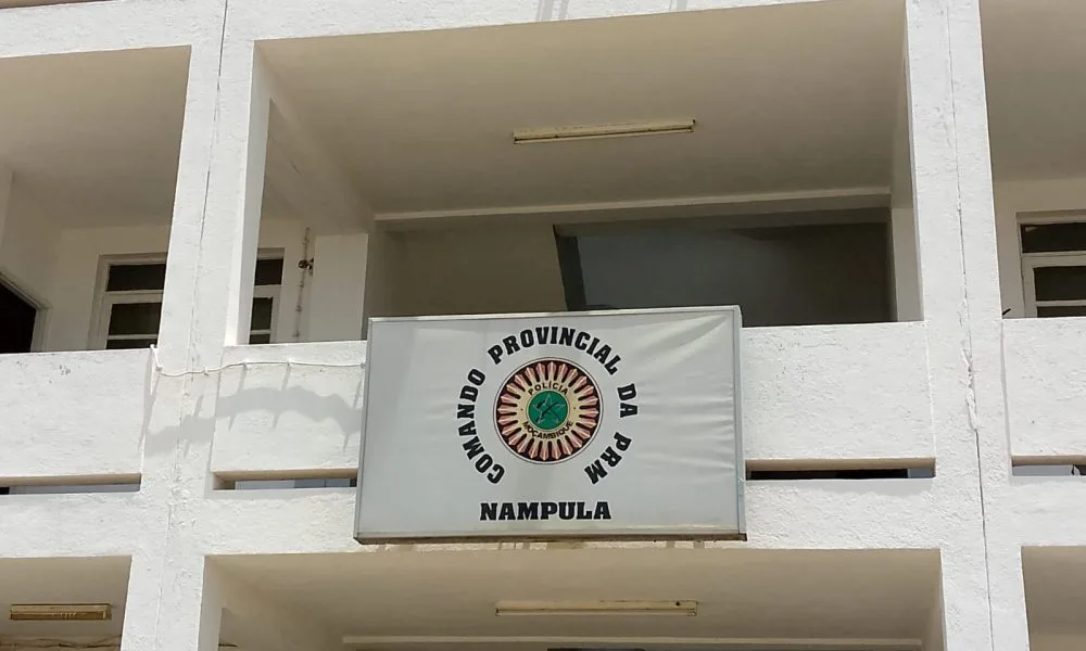 8b7252a3 d5ad 428c 9e30 3e9b80b421bf 1000x600 1