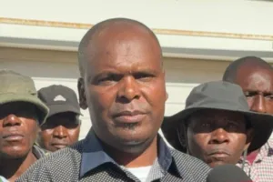 whatsapp image 2025 05 29 at 14.31.09