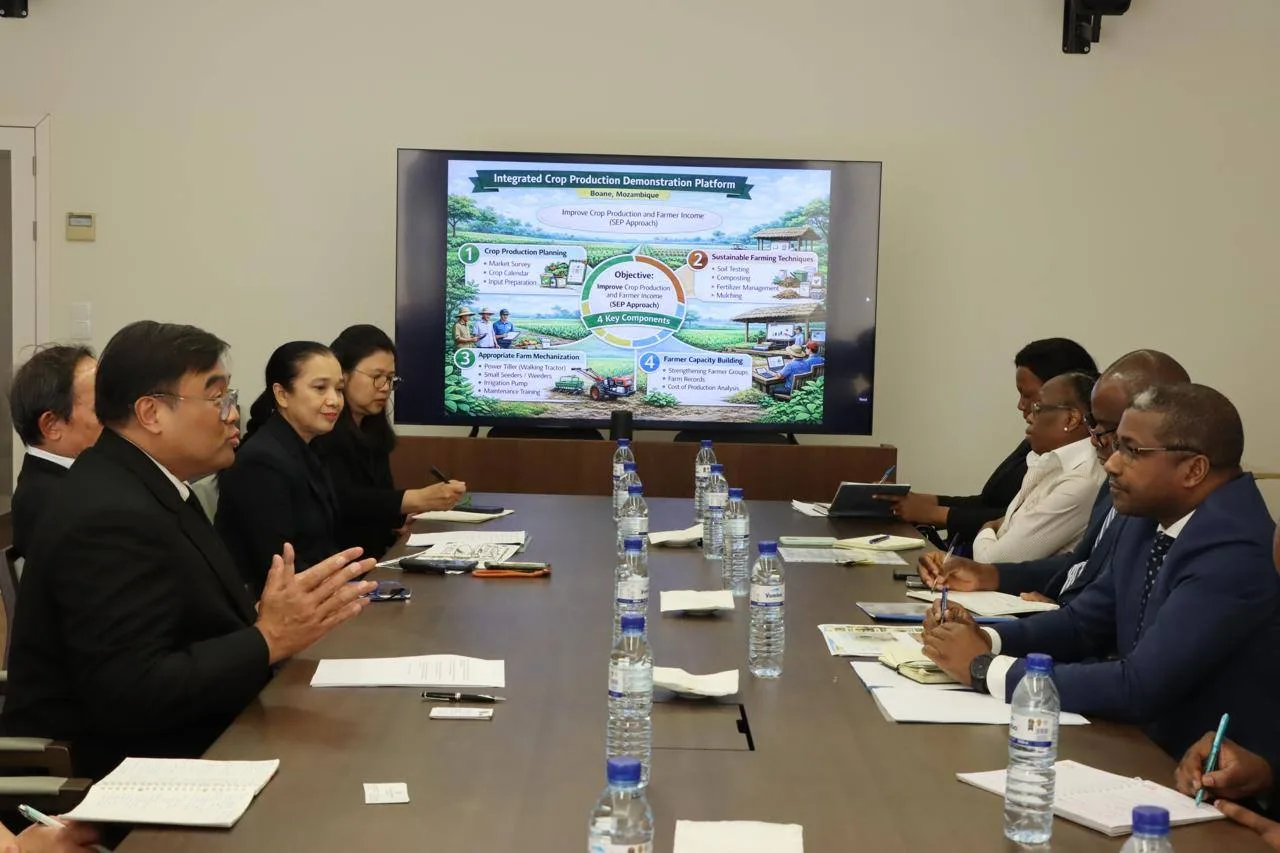 645928424 1244911447816735 2086035462552816029 n