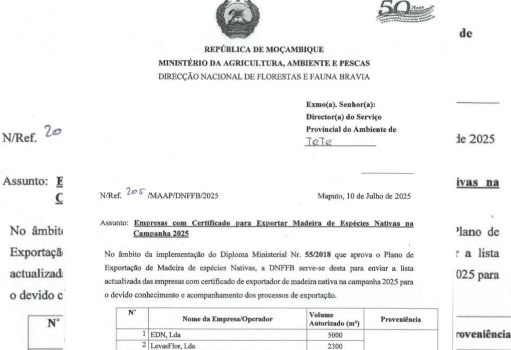 inshot 20260310 135417502