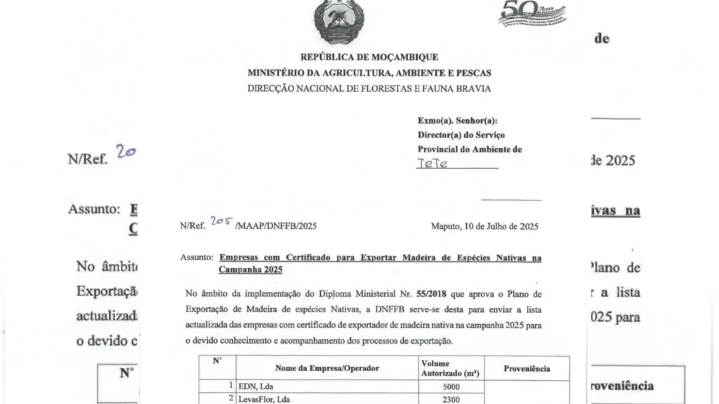 inshot 20260310 135417502