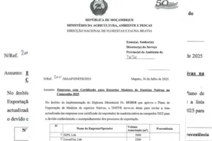 inshot 20260310 135417502